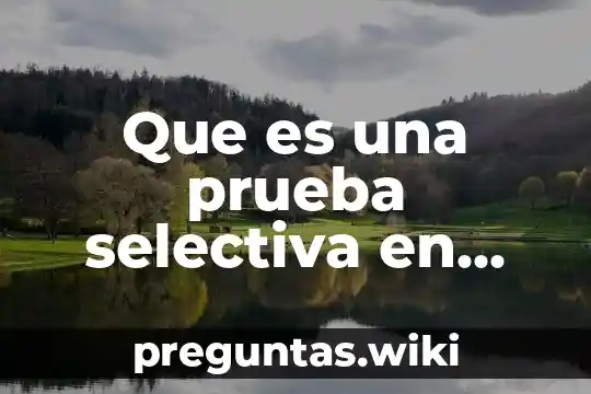 Que es una prueba selectiva en auditoria