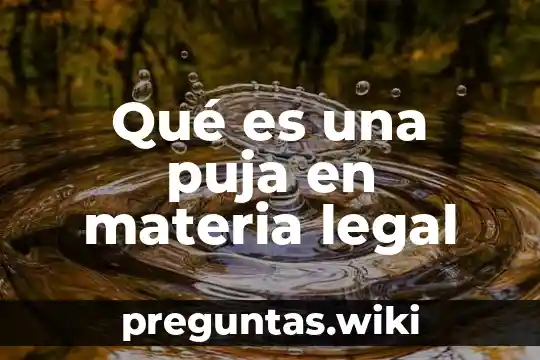 Qué es una puja en materia legal