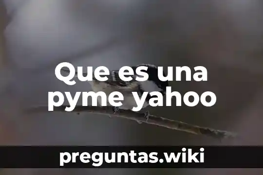 Que es una pyme yahoo