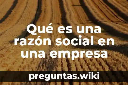 Qué es una razón social en una empresa