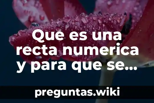 Que es una recta numerica y para que se usa