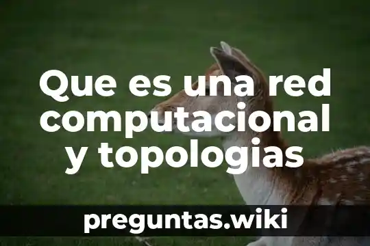 Que es una red computacional y topologias