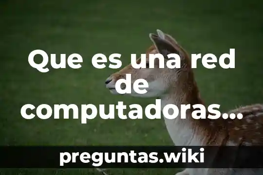 Que es una red de computadoras para dibujar