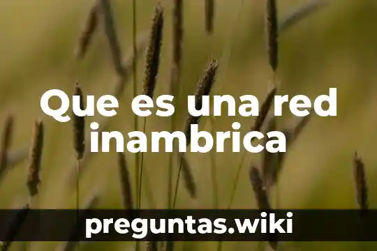 Que es una red inambrica