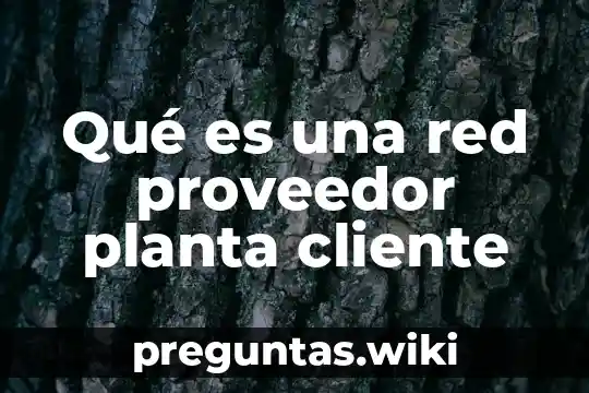 Qué es una red proveedor planta cliente