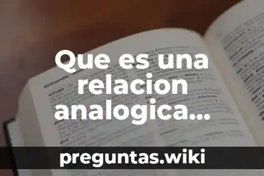 Que es una relacion analogica entre terminos