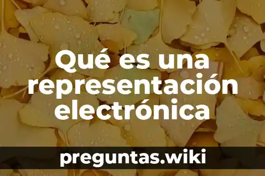 Qué es una representación electrónica