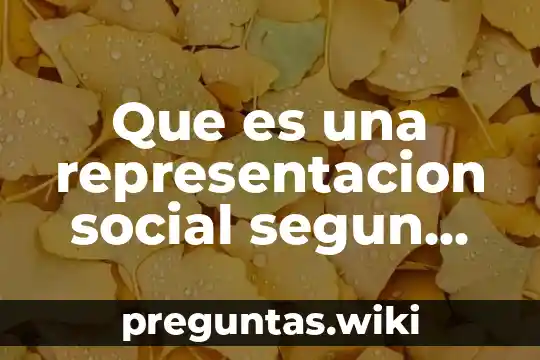 Que es una representacion social segun denise jodelet