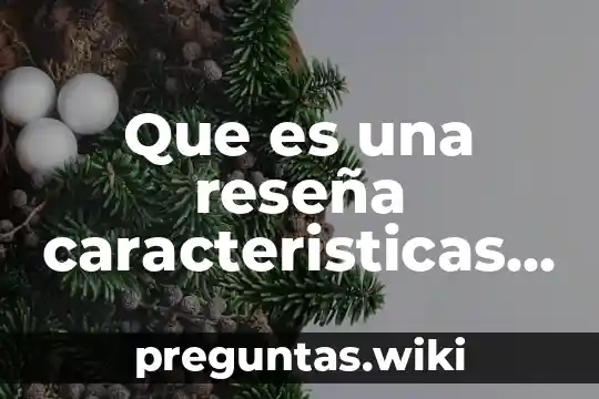 Que es una reseña caracteristicas y funciones