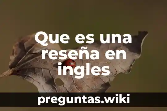 Que es una reseña en ingles