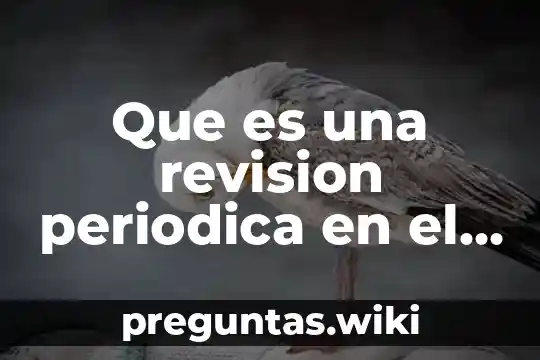 Que es una revision periodica en el tlcan