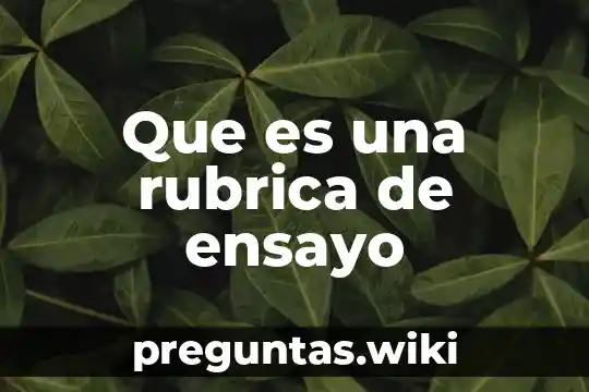 Que es una rubrica de ensayo