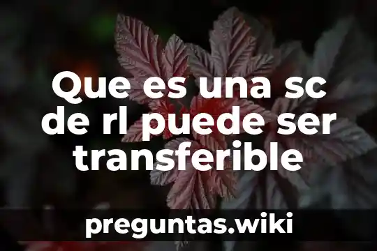 Que es una sc de rl puede ser transferible