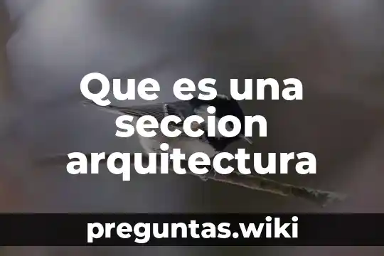Que es una seccion arquitectura