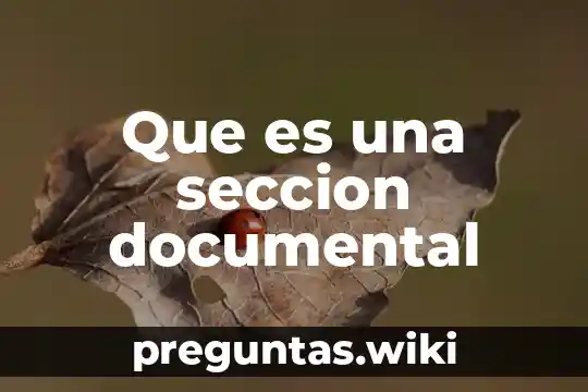 Que es una seccion documental