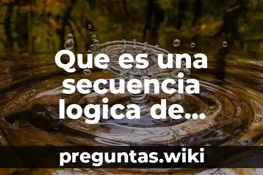 Que es una secuencia logica de programacion