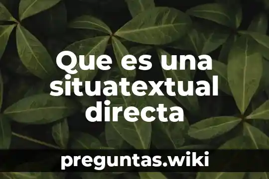 Que es una situatextual directa