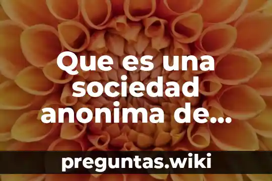 Que es una sociedad anonima de capitla