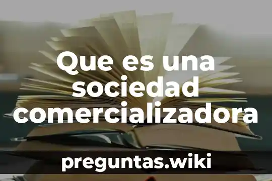 Que es una sociedad comercializadora