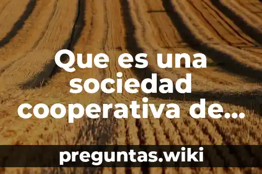 Que es una sociedad cooperativa de responsabilida limitada