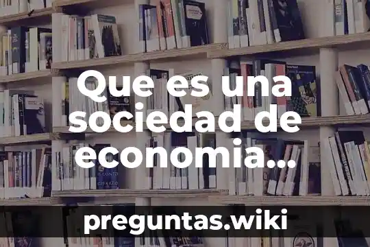Que es una sociedad de economia mixta