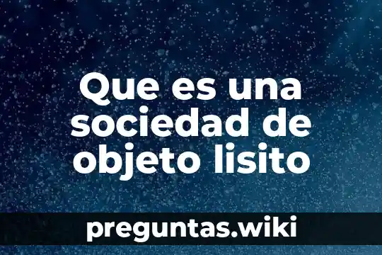 Que es una sociedad de objeto lisito
