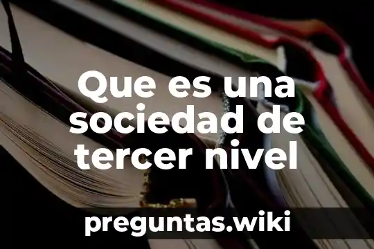 Que es una sociedad de tercer nivel