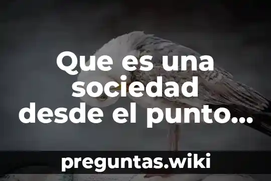 Que es una sociedad desde el punto de vista juridico
