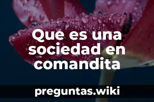 Que es una sociedad en comandita