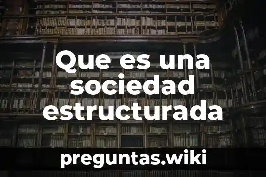 Que es una sociedad estructurada