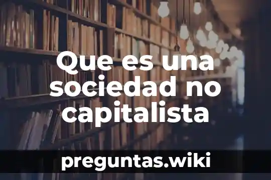 Que es una sociedad no capitalista