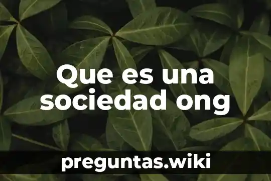 Que es una sociedad ong