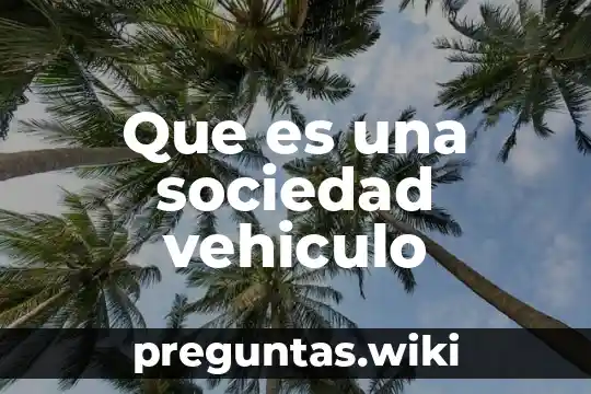 Que es una sociedad vehiculo