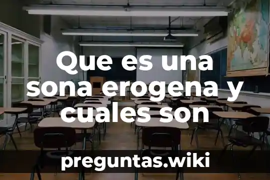 Que es una sona erogena y cuales son