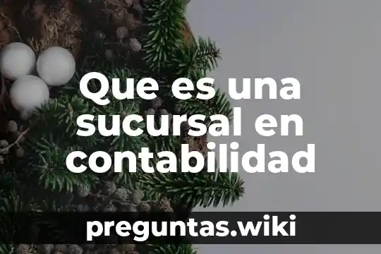Que es una sucursal en contabilidad