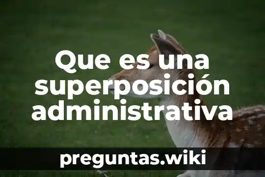 Que es una superposición administrativa