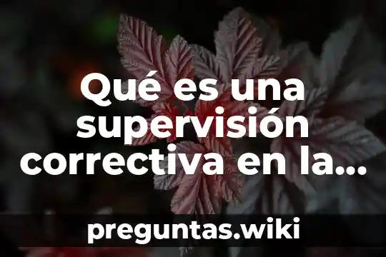 Qué es una supervisión correctiva en la obra civil