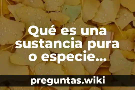 Qué es una sustancia pura o especie química