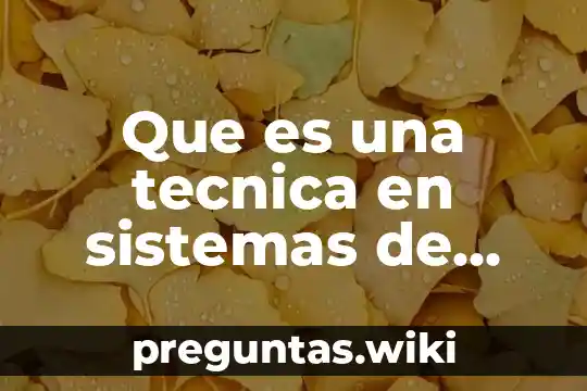 Que es una tecnica en sistemas de comercialización