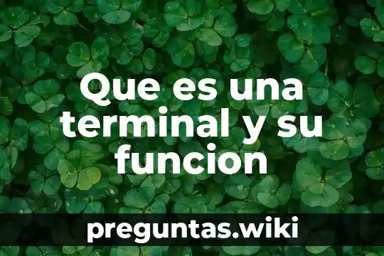Que es una terminal y su funcion