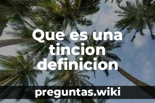 Que es una tincion definicion