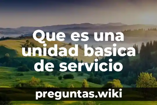 Que es una unidad basica de servicio