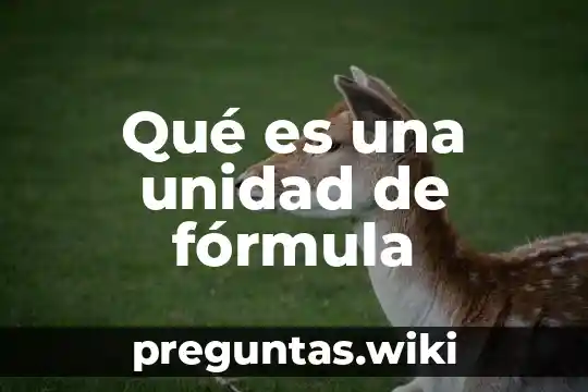 Qué es una unidad de fórmula