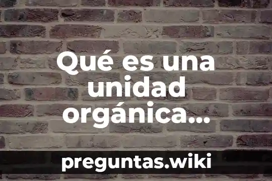 Qué es una unidad orgánica intrínseca
