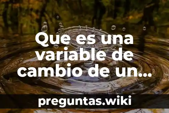 Que es una variable de cambio de un amortiguador