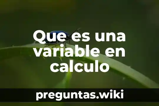Que es una variable en calculo