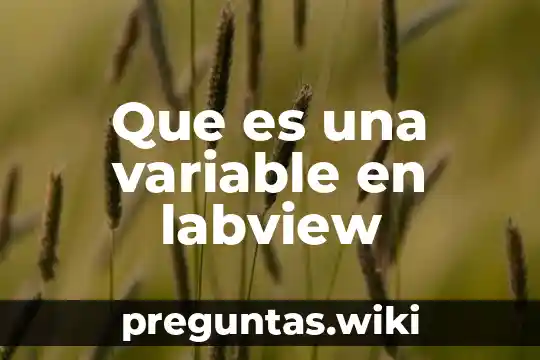 Que es una variable en labview