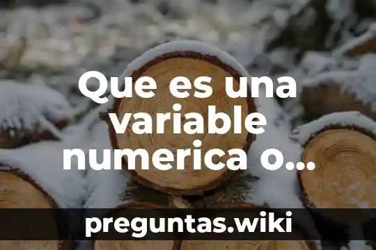 Que es una variable numerica o cuantitativa