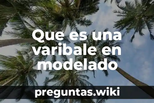 Que es una varibale en modelado