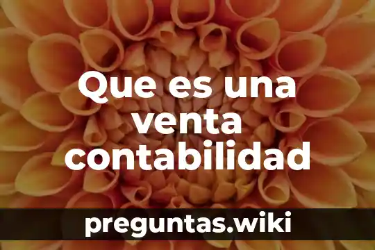 Que es una venta contabilidad